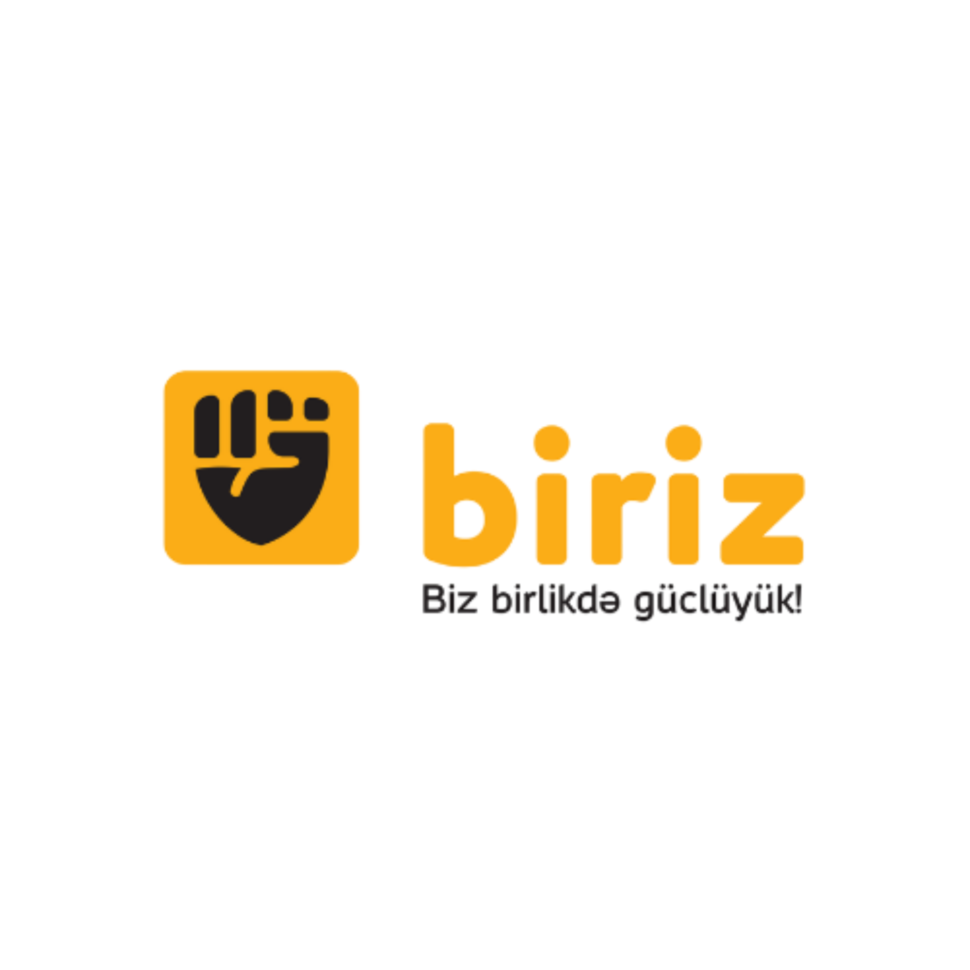 Biriz Logo