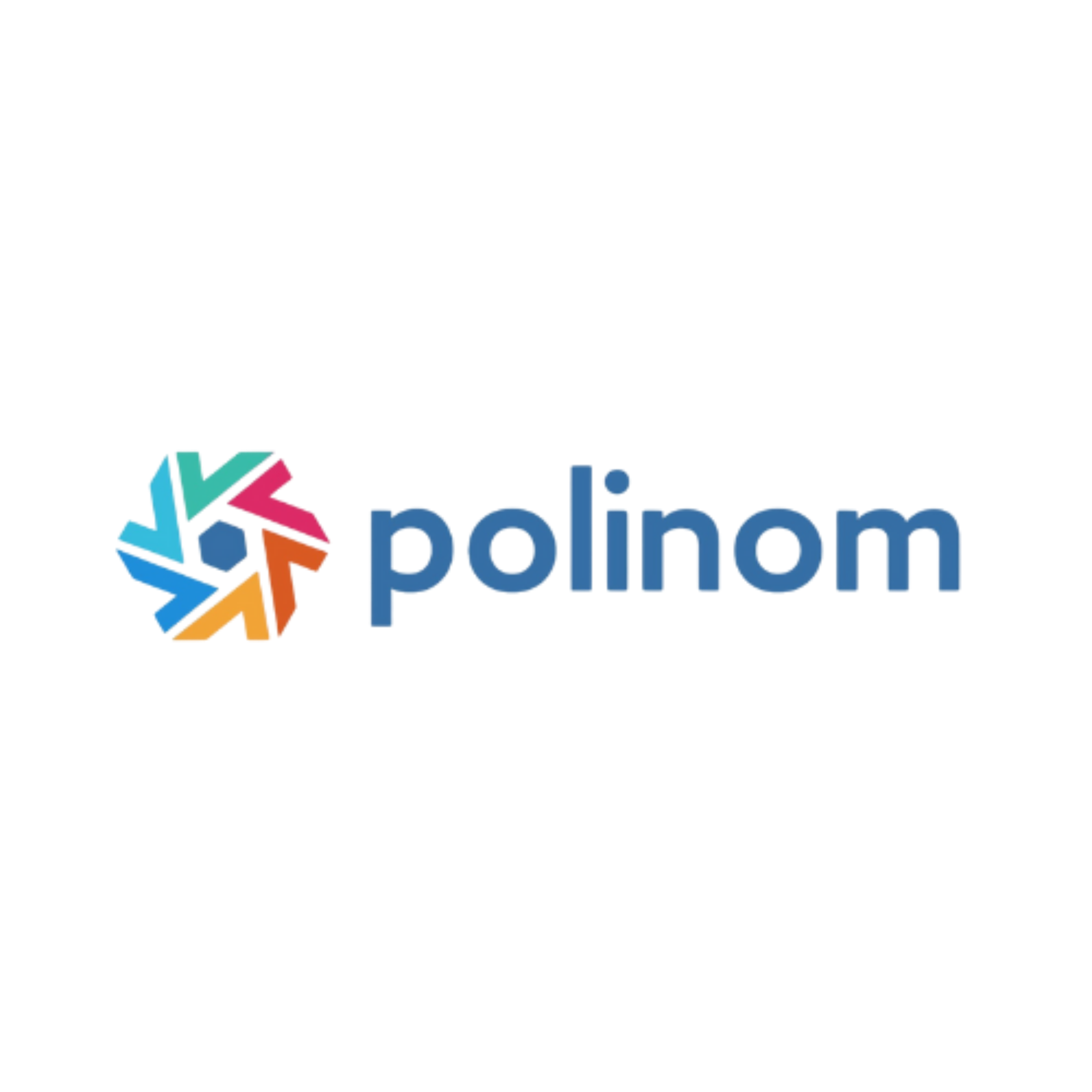 Polinom Logo